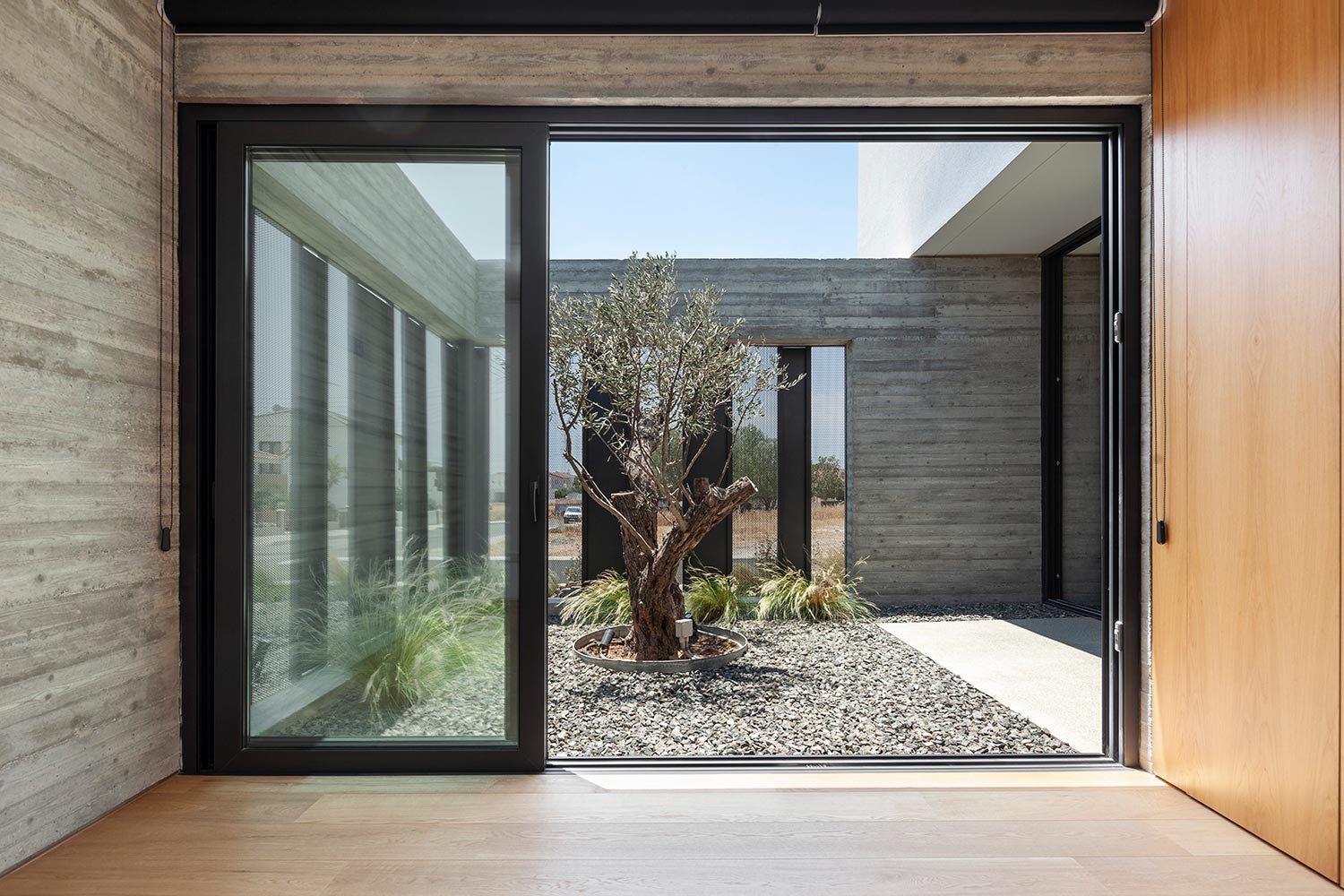 Atrium with olive tree surrounded with semi-transparent aluminium cladding