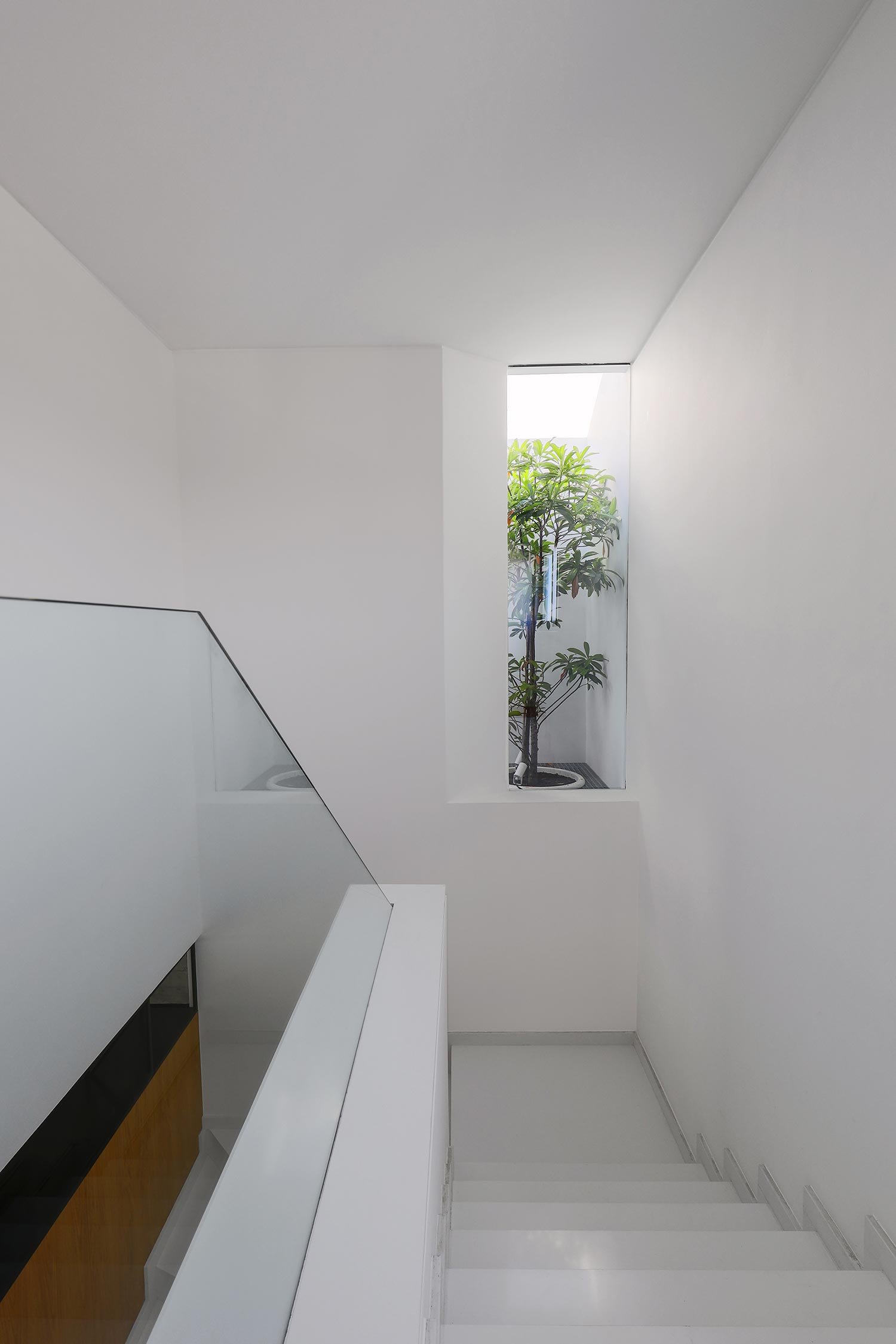 Atrium with plant in a white artificial granite staircase