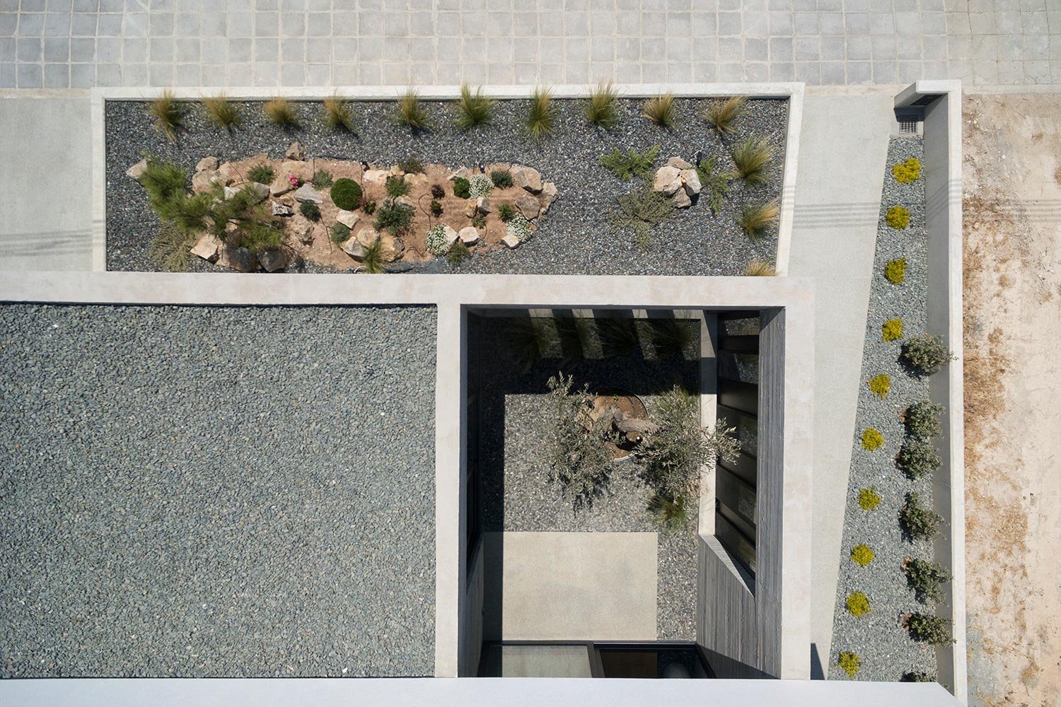 Aerial view of atrium with olive tree